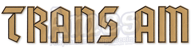 1976-1977 TRANS AM SPOILER DECAL (GOLD GERMAN-STYLE) (RE)