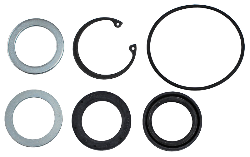 196277 PITMAN ARM SHAFT SEAL KIT (AP)